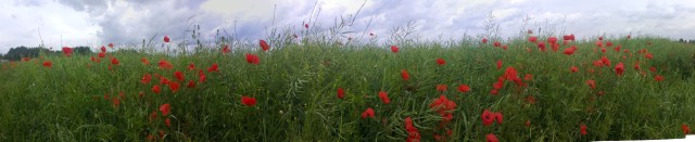 13060301-13060312_scaled