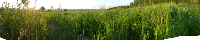 P1010128-P1010144_scaled