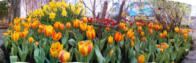 20140301_006 - 20140301_018