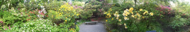 butchart_gardens_1